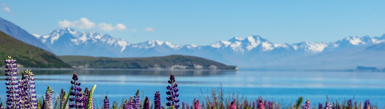 Blick auf den See Tekapo